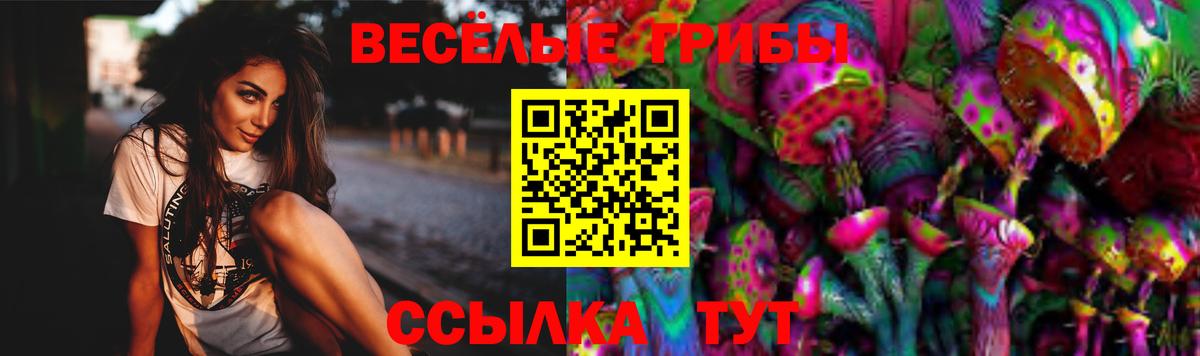 где продают   Вход с VPN  Псилоцибиновые грибы Psilocybe  Коряжма  Псилоцибиновые грибы Psilocybine cubensis 